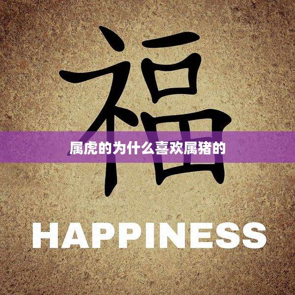 属虎的为什么喜欢属猪的