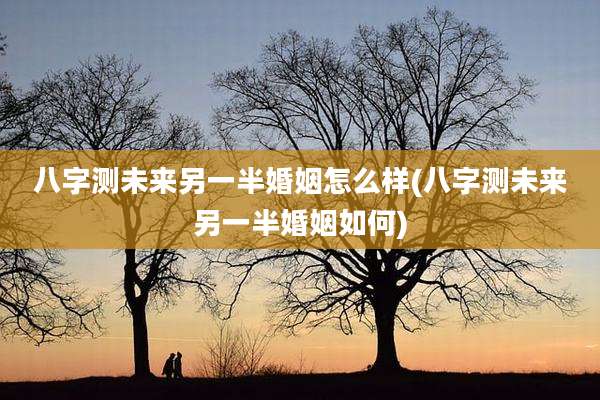 八字测未来另一半婚姻怎么样(八字测未来另一半婚姻如何)