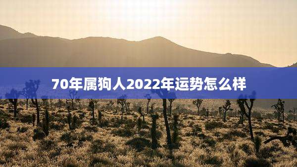 70年属狗人2022年运势怎么样