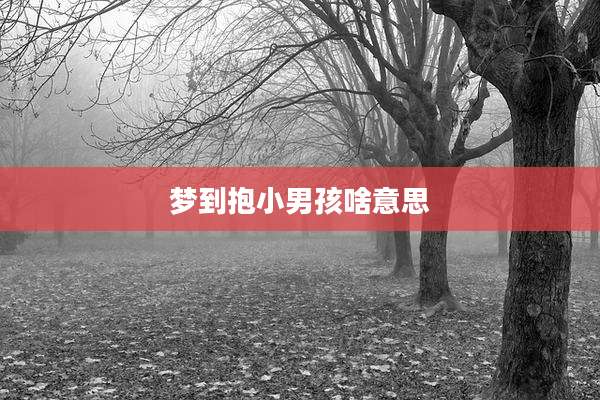 梦到抱小男孩啥意思