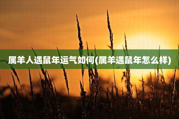 属羊人遇鼠年运气如何(属羊遇鼠年怎么样)
