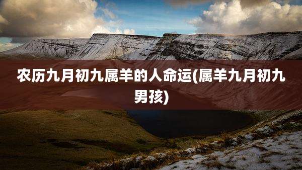 农历九月初九属羊的人命运(属羊九月初九男孩)