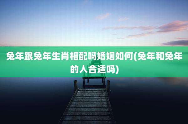 兔年跟兔年生肖相配吗婚姻如何(兔年和兔年的人合适吗)