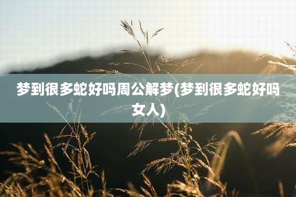 梦到很多蛇好吗周公解梦(梦到很多蛇好吗女人)