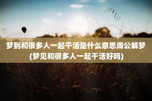 梦到和很多人一起干活是什么意思周公解梦(梦见和很多人一起干活好吗)