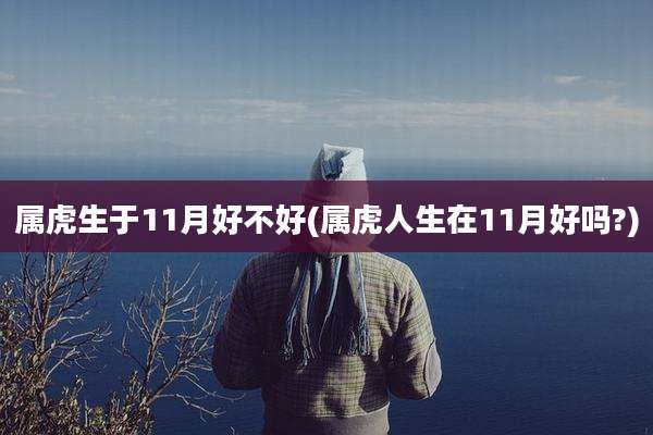 属虎生于11月好不好(属虎人生在11月好吗?)