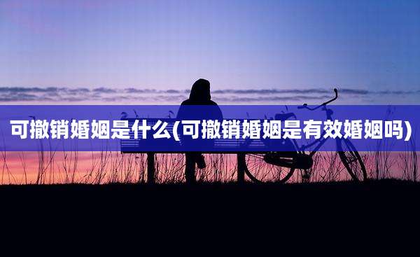 可撤销婚姻是什么(可撤销婚姻是有效婚姻吗)