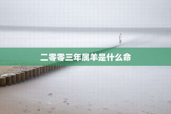 二零零三年属羊是什么命
