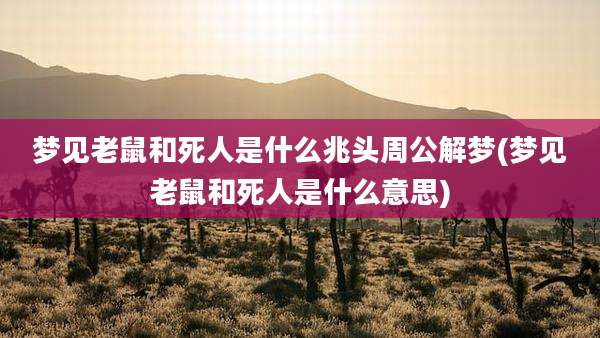 梦见老鼠和死人是什么兆头周公解梦(梦见老鼠和死人是什么意思)