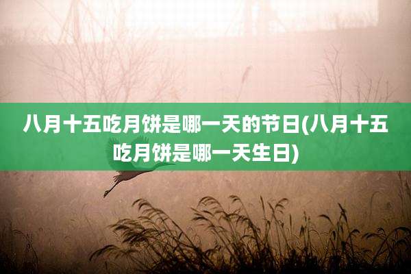 八月十五吃月饼是哪一天的节日(八月十五吃月饼是哪一天生日)