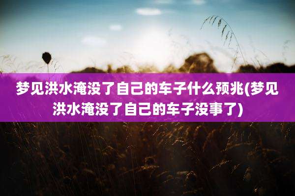 梦见洪水淹没了自己的车子什么预兆(梦见洪水淹没了自己的车子没事了)