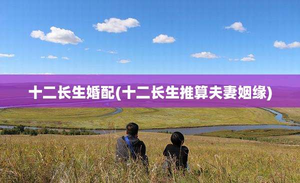 十二长生婚配(十二长生推算夫妻姻缘)