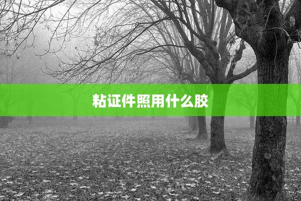 粘证件照用什么胶