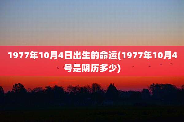 1977年10月4日出生的命运(1977年10月4号是阴历多少)