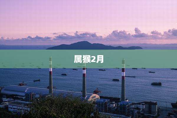属猴2月