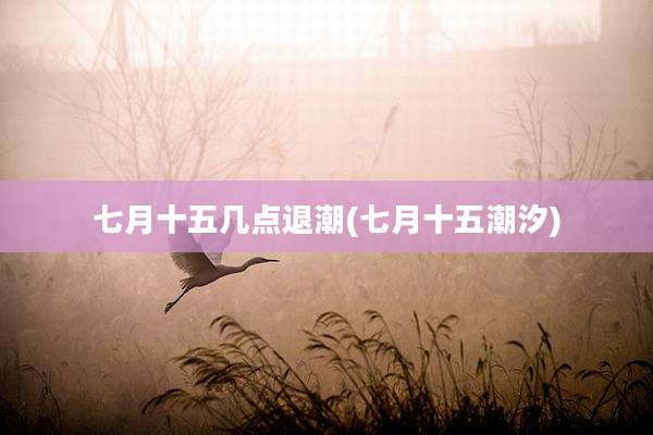 七月十五几点退潮(七月十五潮汐)