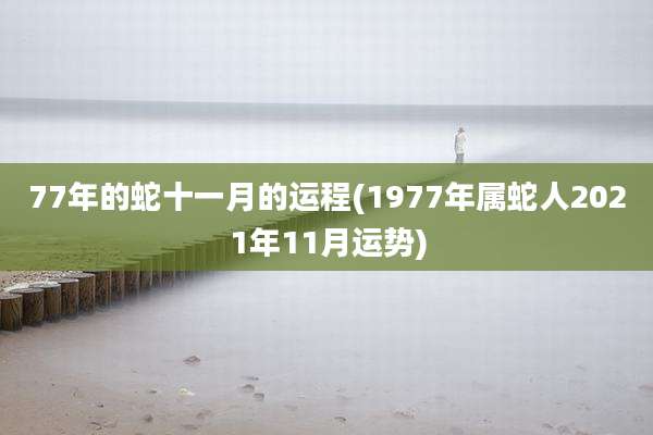 77年的蛇十一月的运程(1977年属蛇人2021年11月运势)