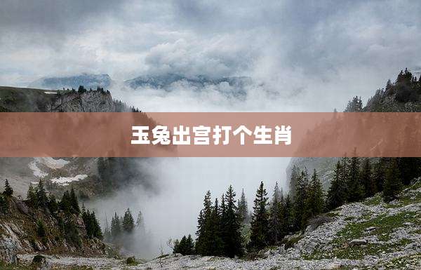 玉兔出宫打个生肖