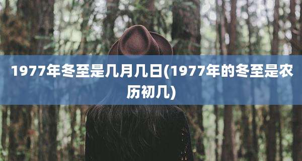 1977年冬至是几月几日(1977年的冬至是农历初几)
