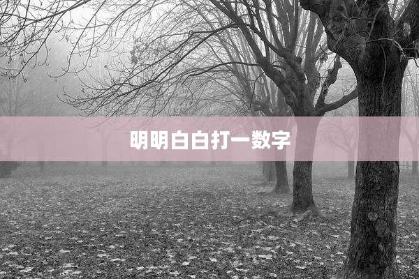 明明白白打一数字