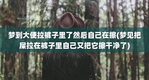 梦到大便拉裤子里了然后自己在擦(梦见把屎拉在裤子里自己又把它擦干净了)