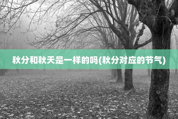 秋分和秋天是一样的吗(秋分对应的节气)