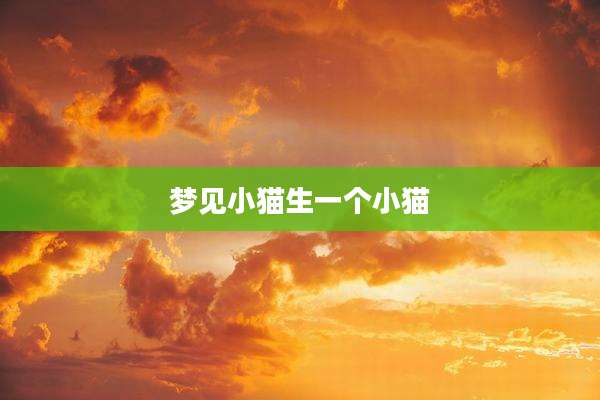 梦见小猫生一个小猫