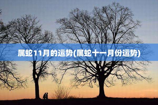 属蛇11月的运势(属蛇十一月份运势)