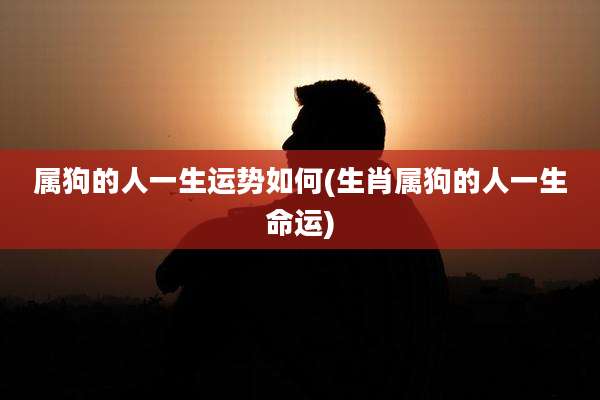 属狗的人一生运势如何(生肖属狗的人一生命运)