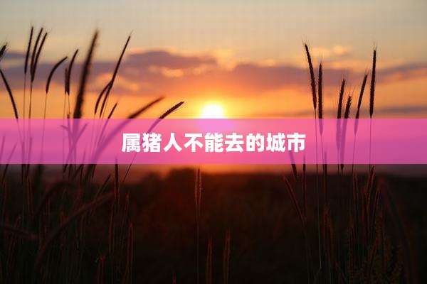 属猪人不能去的城市