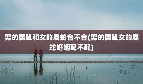 男的属鼠和女的属蛇合不合(男的属鼠女的属蛇婚姻配不配)