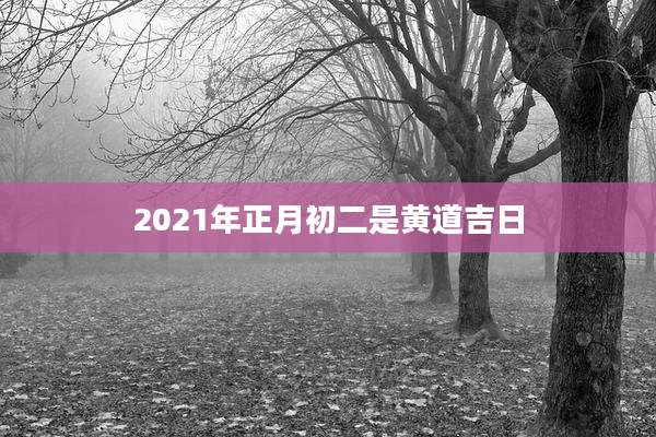 2021年正月初二是黄道吉日