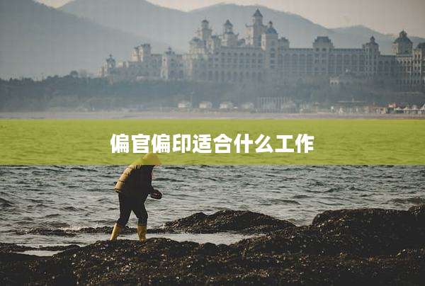 偏官偏印适合什么工作