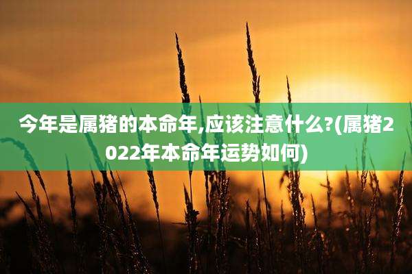今年是属猪的本命年,应该注意什么?(属猪2022年本命年运势如何)