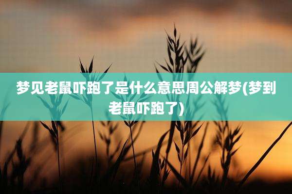 梦见老鼠吓跑了是什么意思周公解梦(梦到老鼠吓跑了)