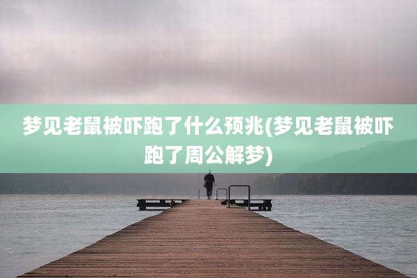 梦见老鼠被吓跑了什么预兆(梦见老鼠被吓跑了周公解梦)
