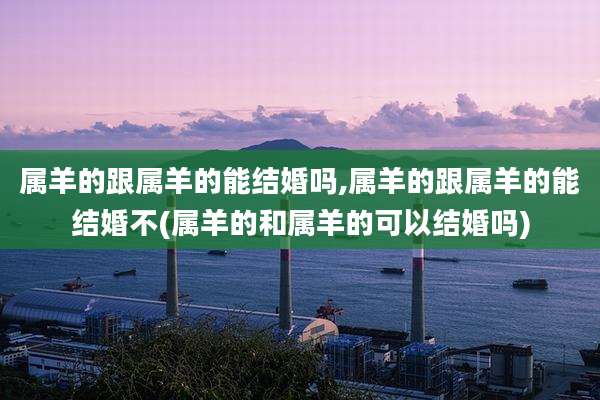 属羊的跟属羊的能结婚吗,属羊的跟属羊的能结婚不(属羊的和属羊的可以结婚吗)