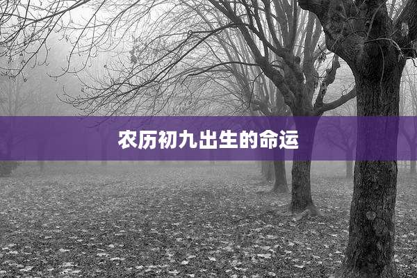 农历初九出生的命运