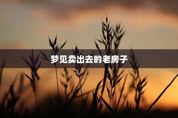 梦见卖出去的老房子