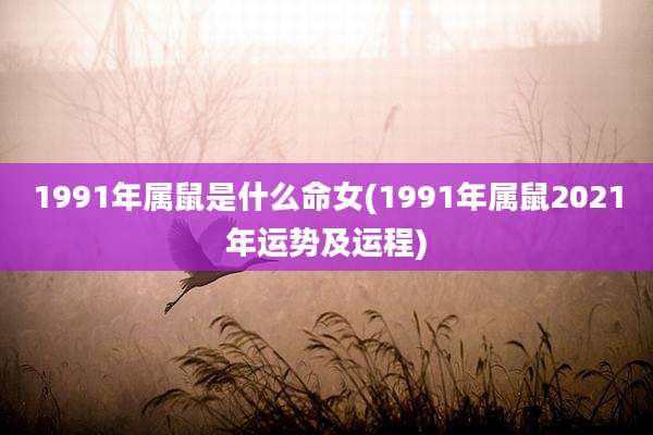 1991年属鼠是什么命女(1991年属鼠2021年运势及运程)