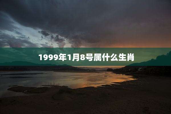 1999年1月8号属什么生肖