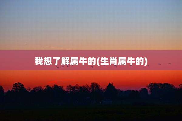 我想了解属牛的(生肖属牛的)