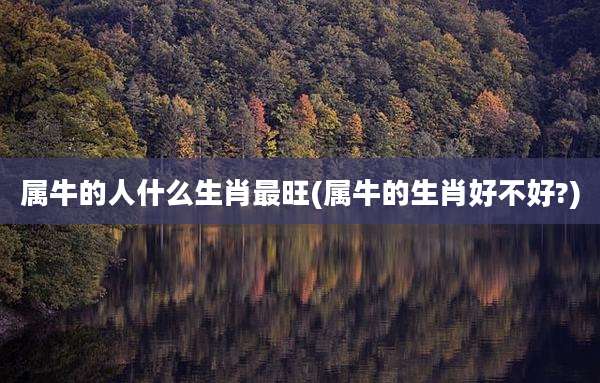 属牛的人什么生肖最旺(属牛的生肖好不好?)