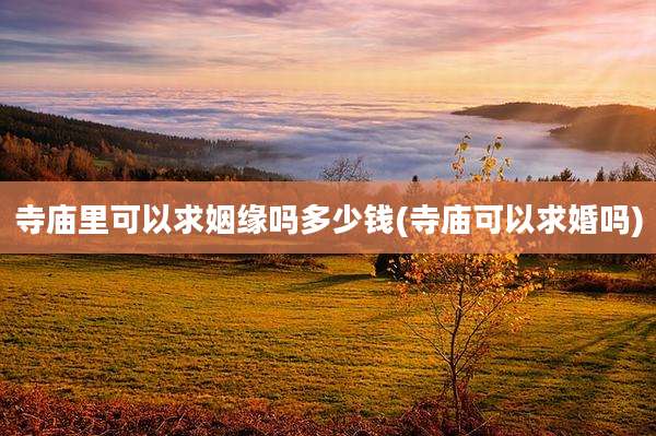 寺庙里可以求姻缘吗多少钱(寺庙可以求婚吗)