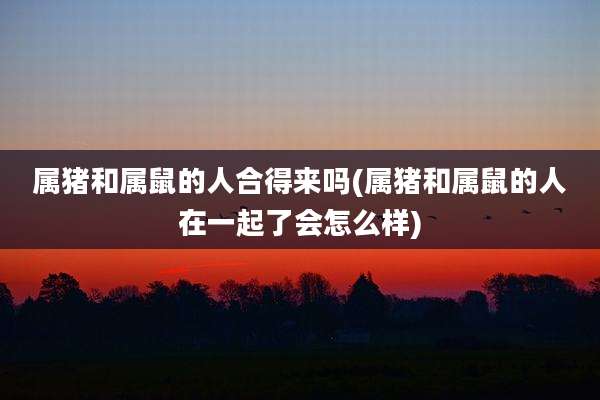 属猪和属鼠的人合得来吗(属猪和属鼠的人在一起了会怎么样)