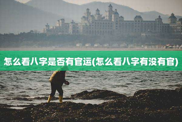 怎么看八字是否有官运(怎么看八字有没有官)
