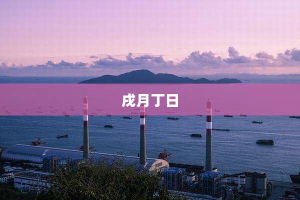 戌月丁日