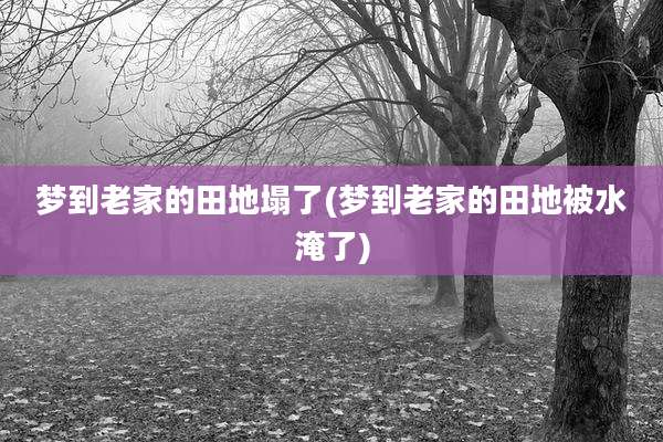 梦到老家的田地塌了(梦到老家的田地被水淹了)