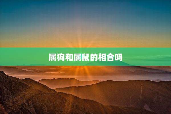 属狗和属鼠的相合吗