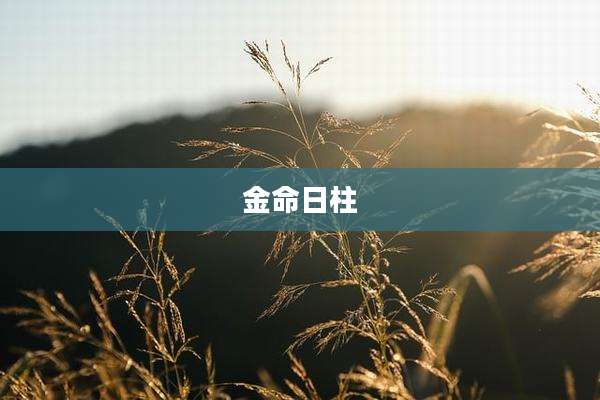 金命日柱